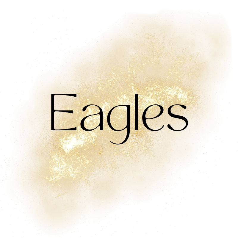 NFL - EAGLES