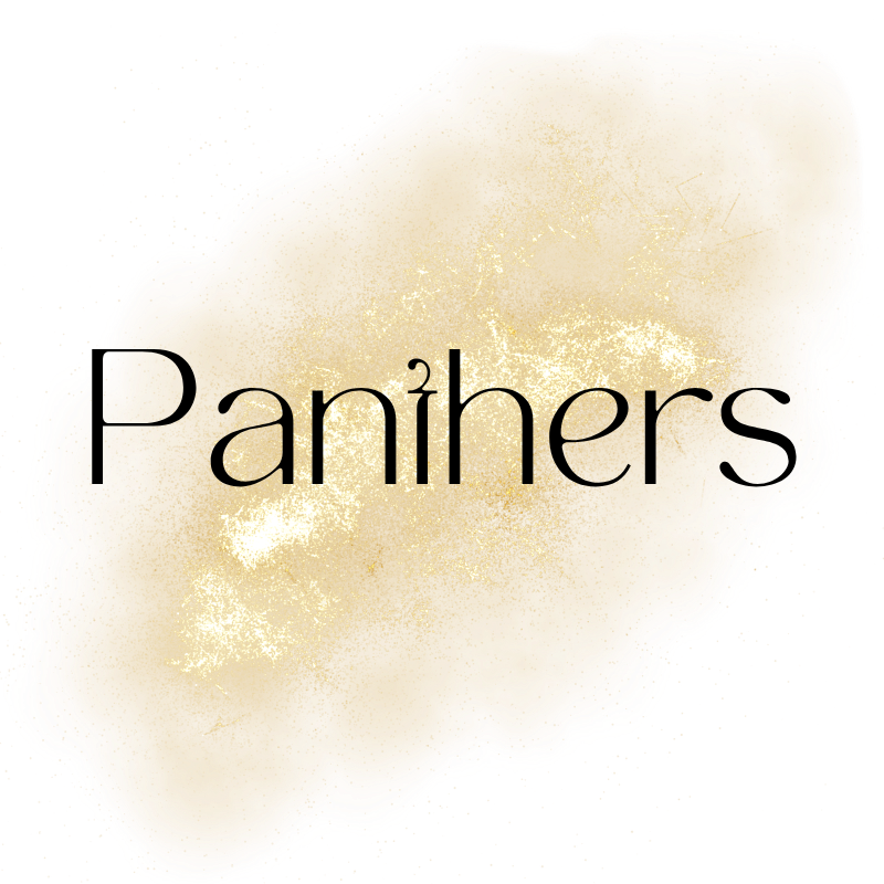 NFL - PANTHERS