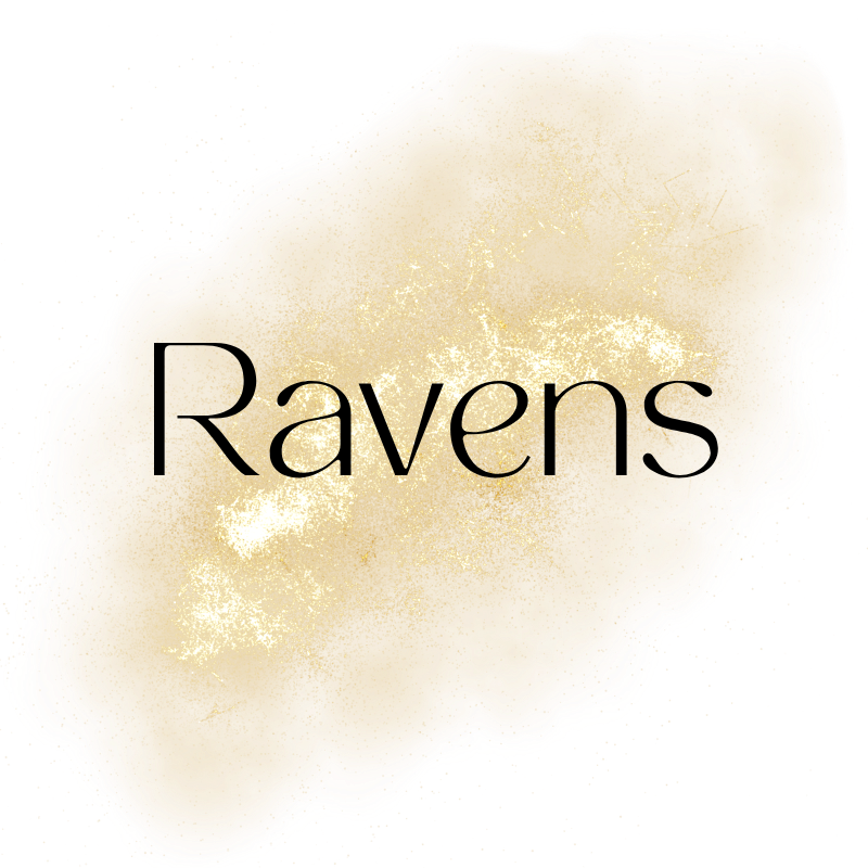 NFL - RAVENS