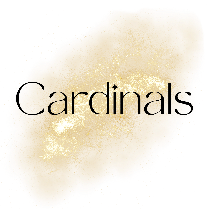 NFL - CARDINALS