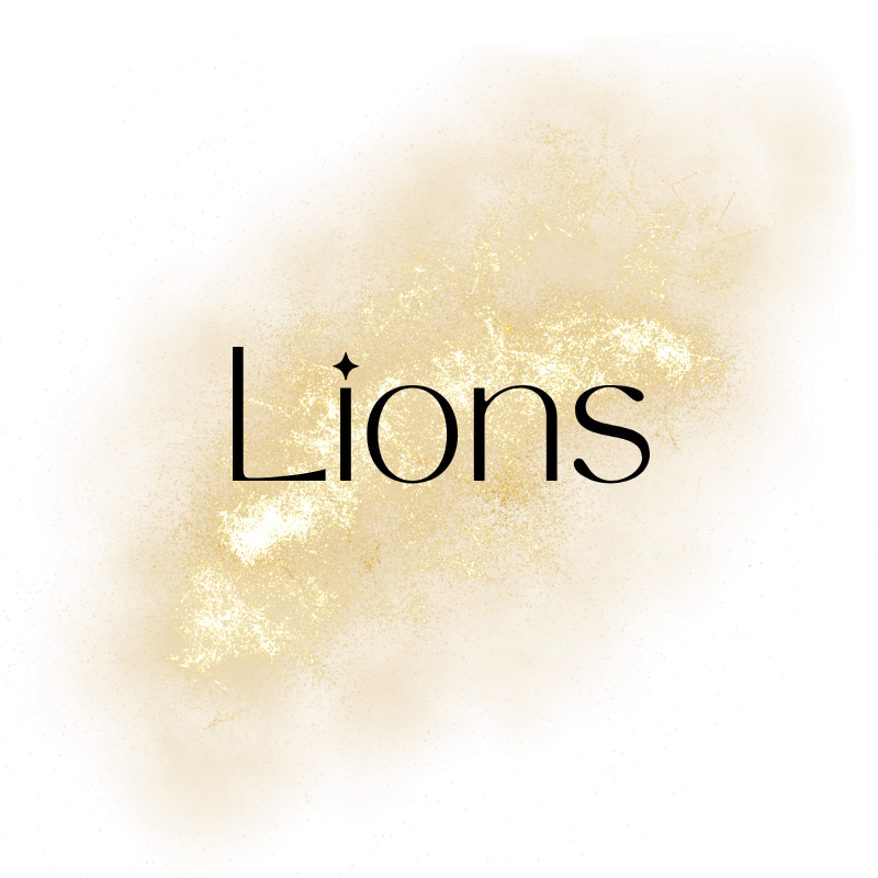 NFL - LIONS