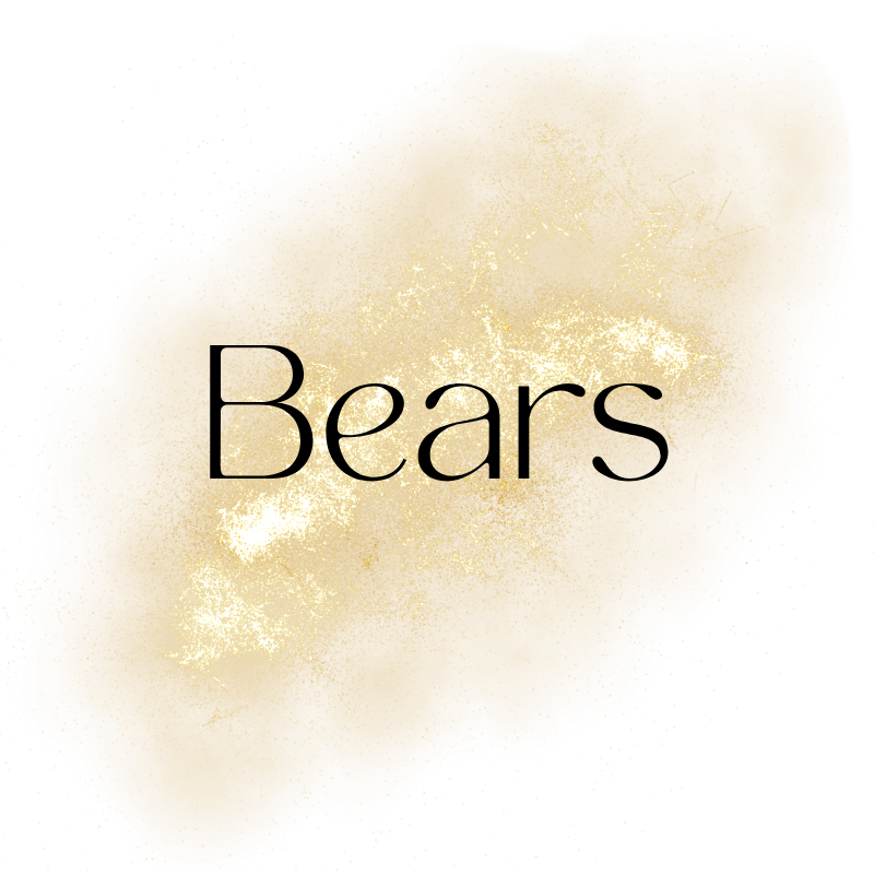 NFL - BEARS