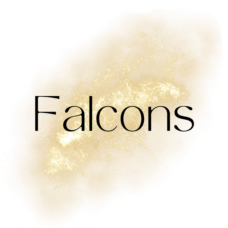 NFL - FALCONS