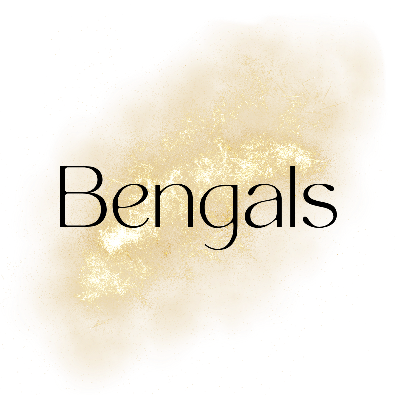 NFL - BENGALS