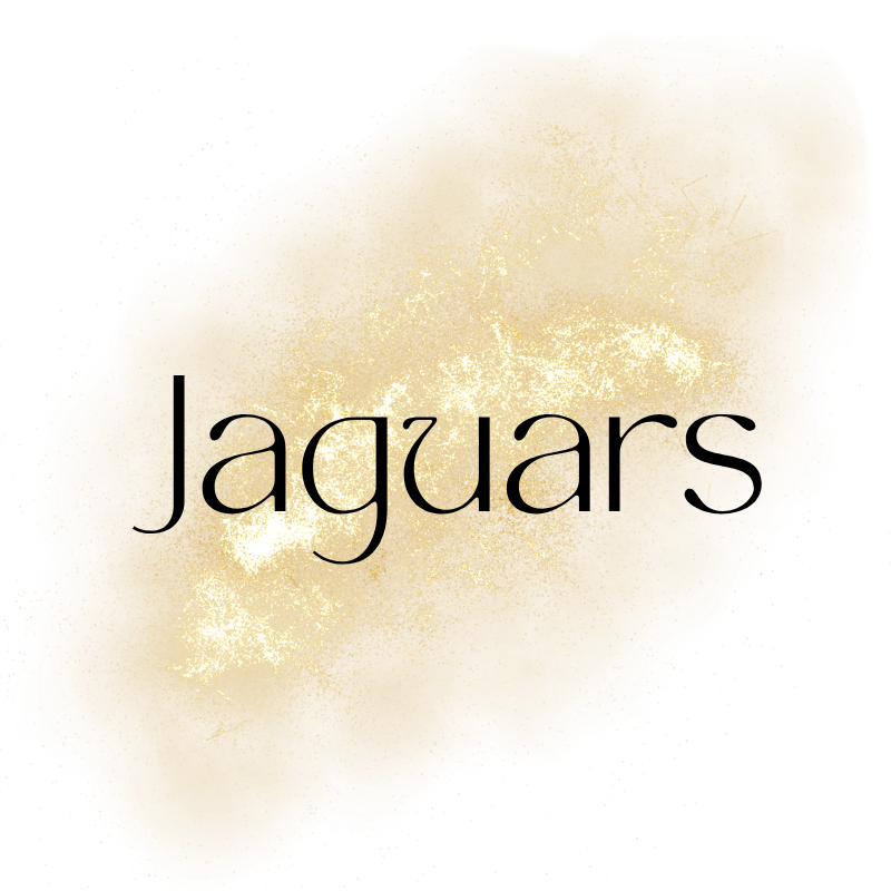 NFL - JAGUARS