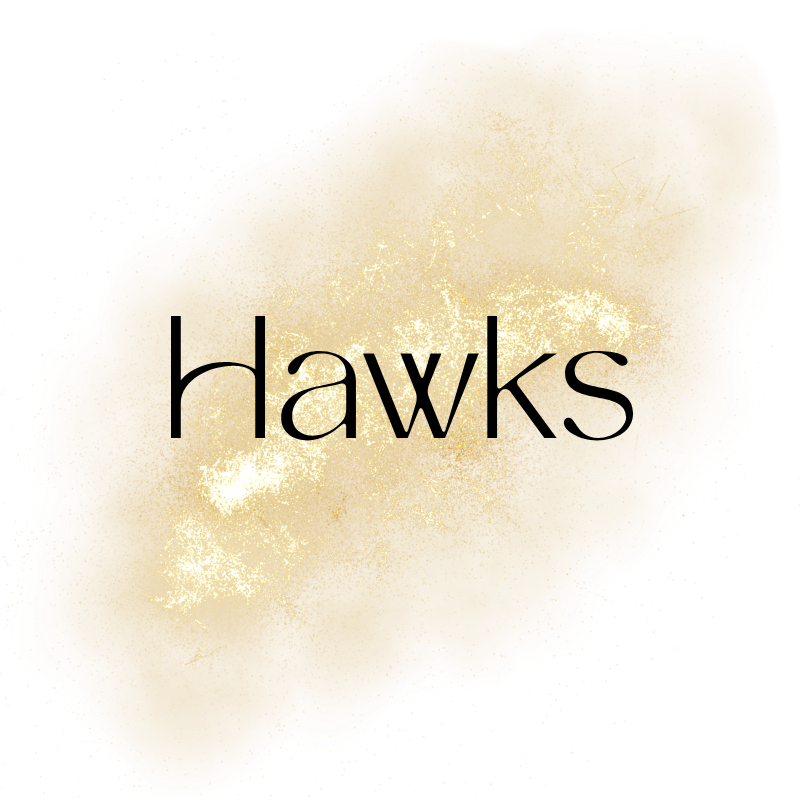 NBA - HAWKS
