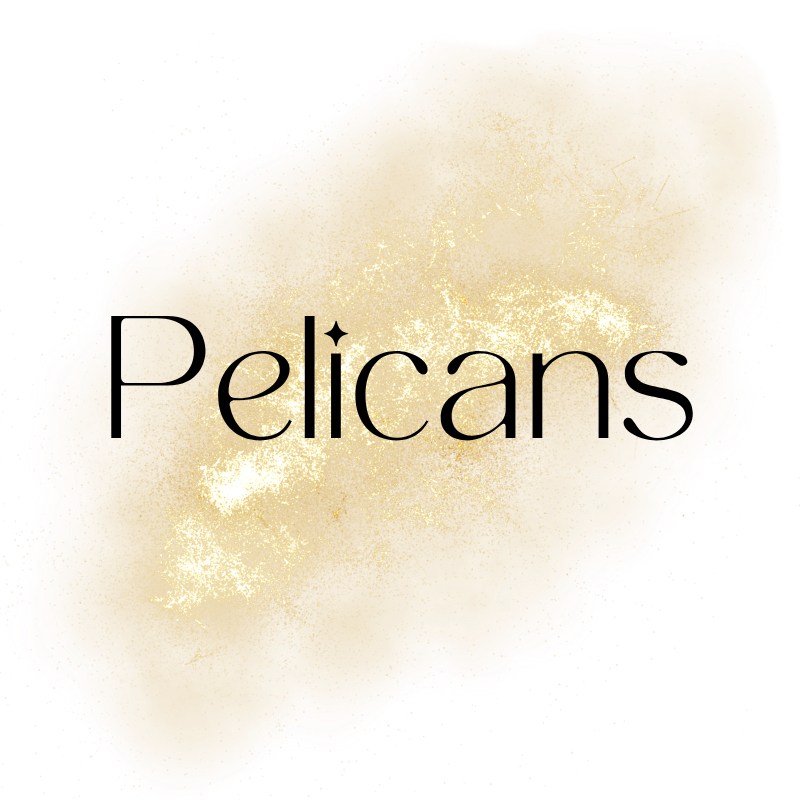 NBA - PELICANS