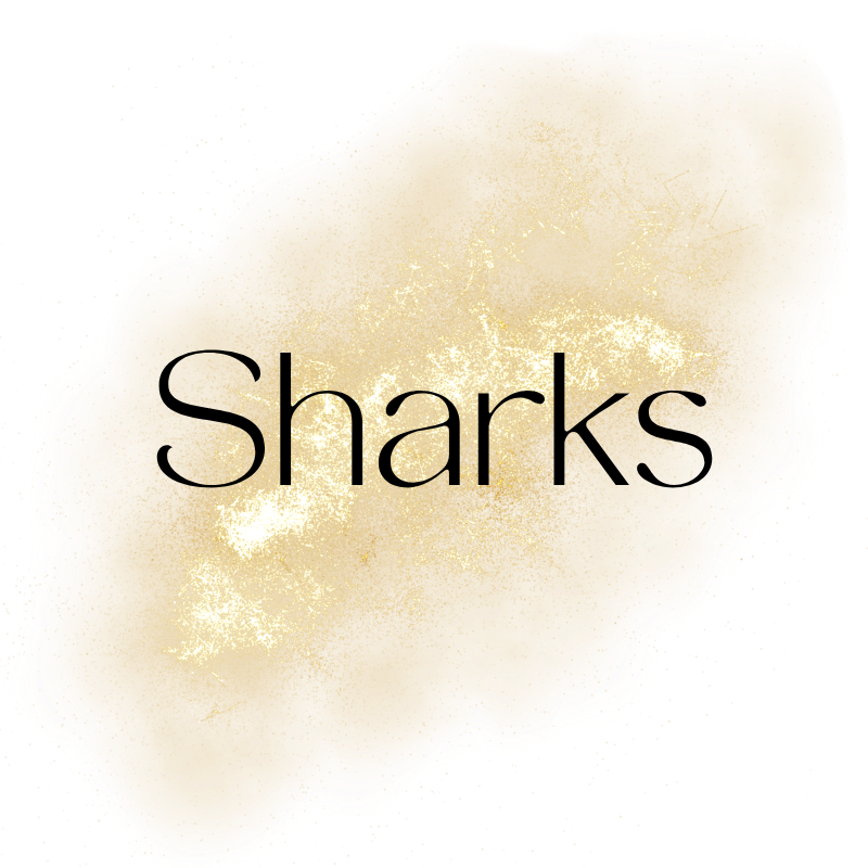NHL - SHARKS