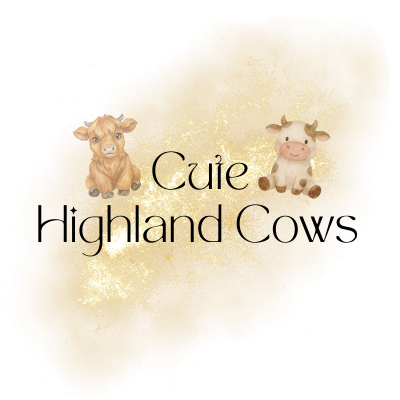 HEAT - HIGHLAND COWS