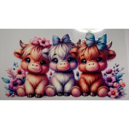 Baby Piggies