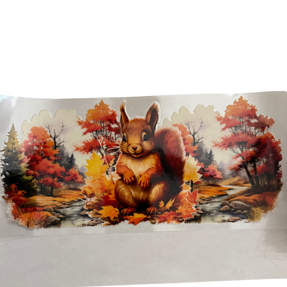 Squirrel