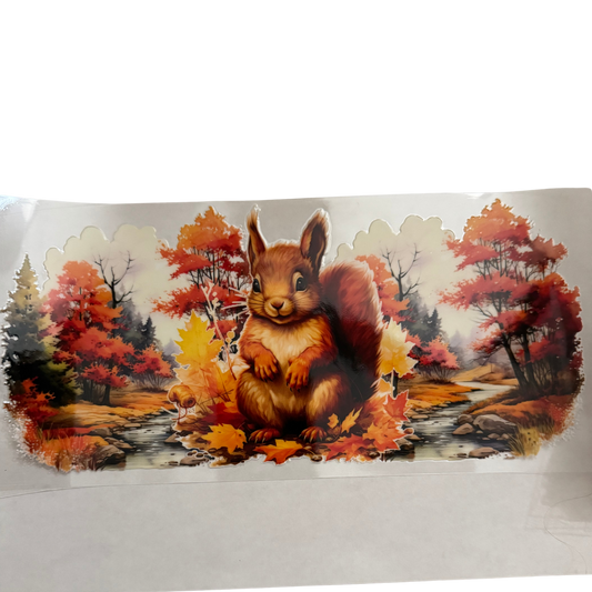 Squirrel