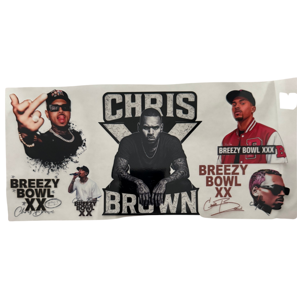 Chris Brown Breezy Bowl