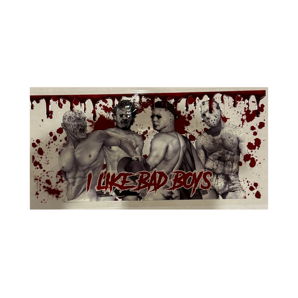 I Like Bad Boys