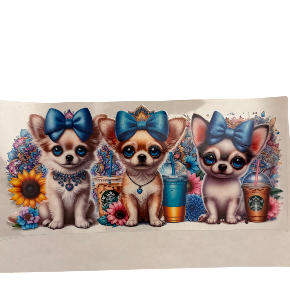 Light Puppy Starbies