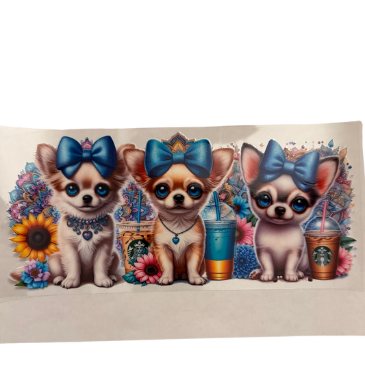 Light Puppy Starbies