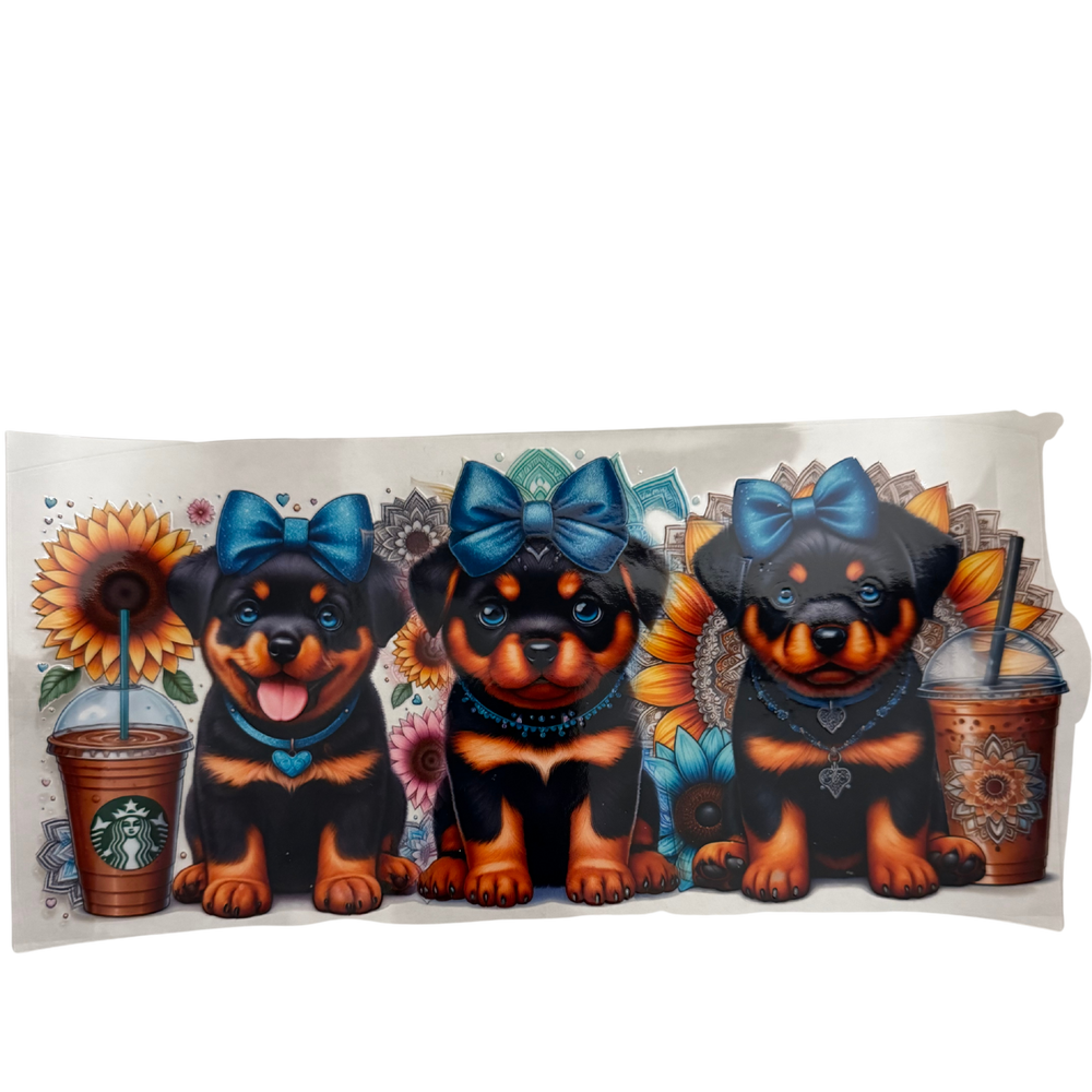 Dog Starbies