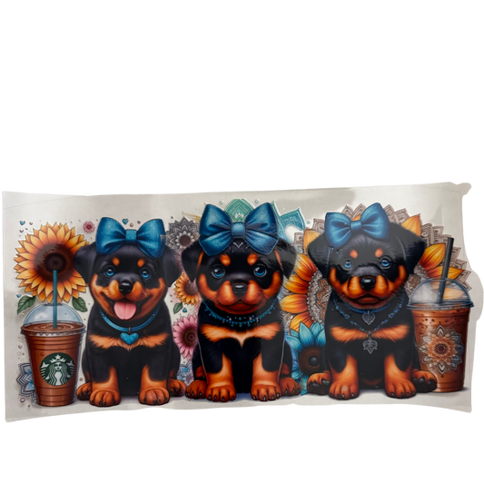 Dog Starbies