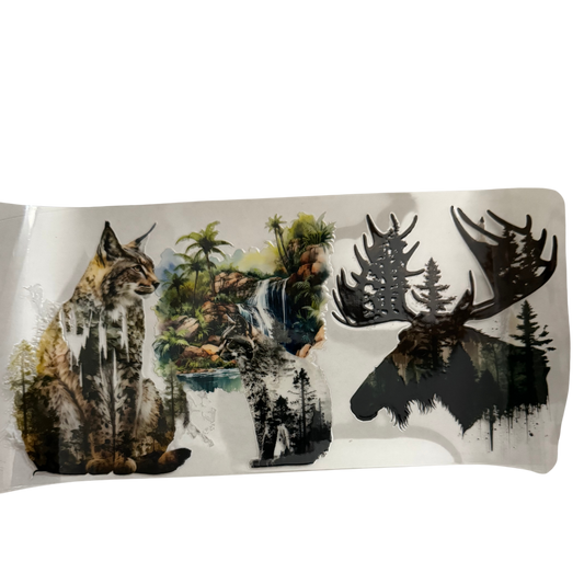 Wild Animals