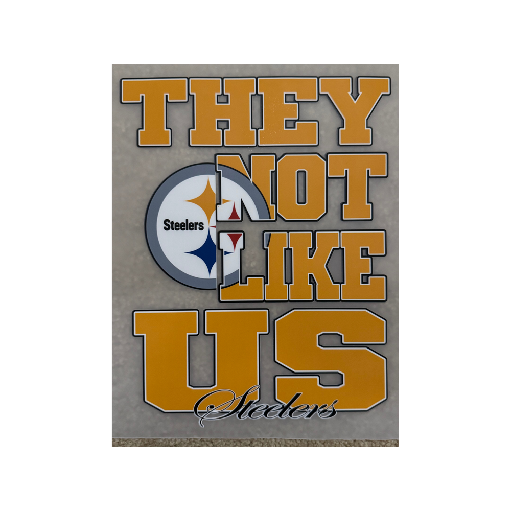 DTF - Steelers Not Like Us