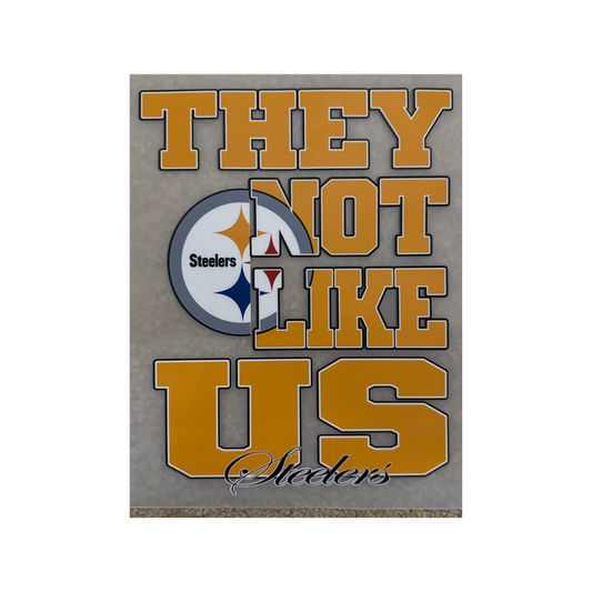 DTF - Steelers Not Like Us