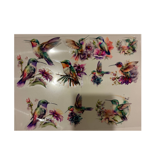 40oz - Humming Birds