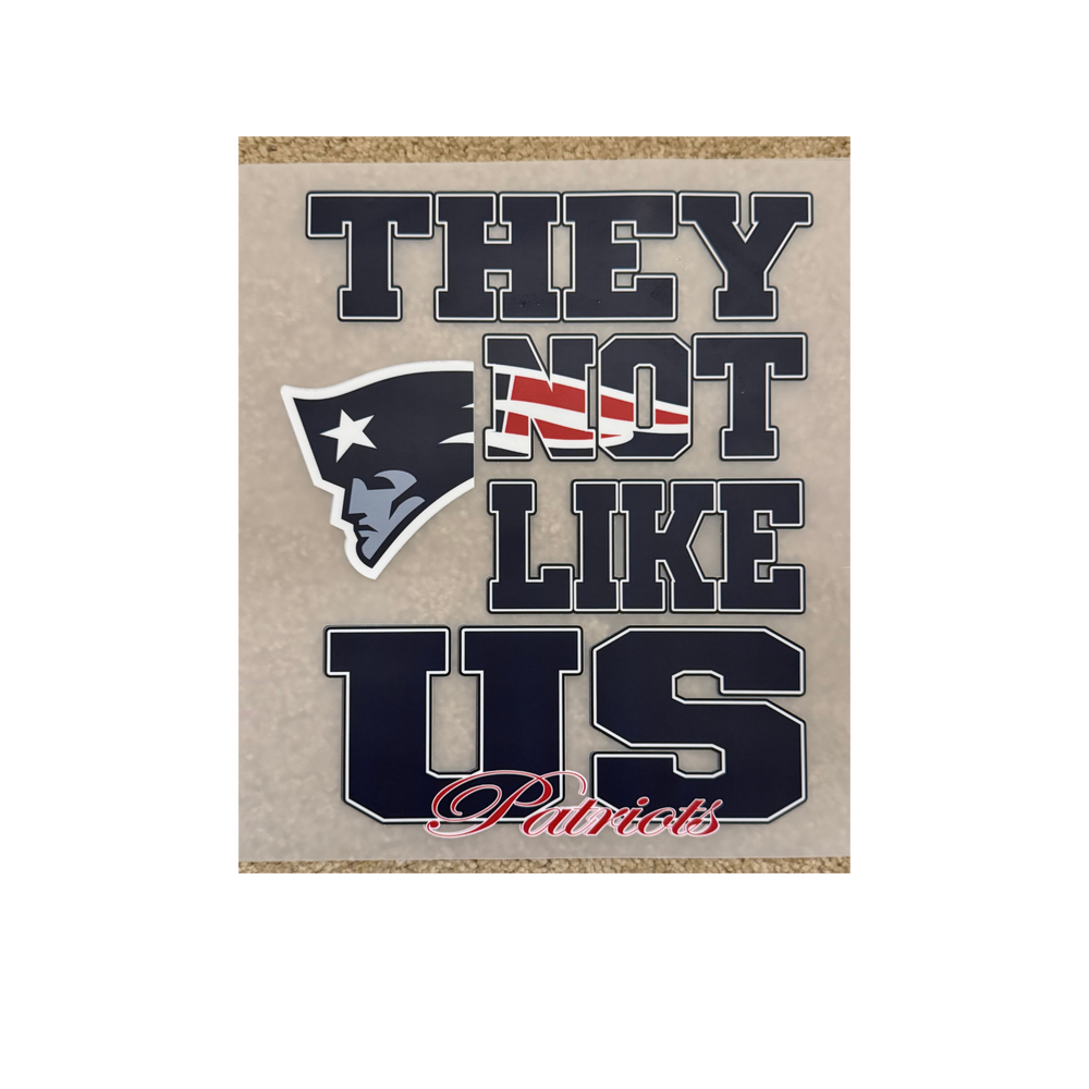 DTF - Patriots Not Like Us