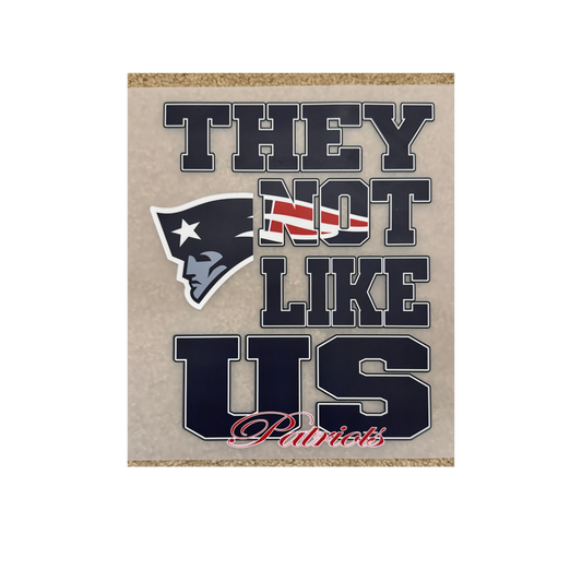 DTF - Patriots Not Like Us