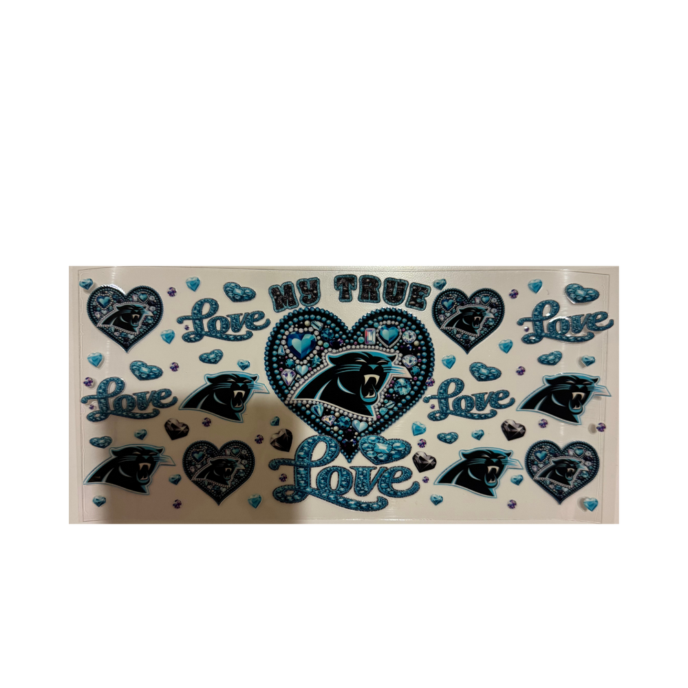 Love Panthers - NFL