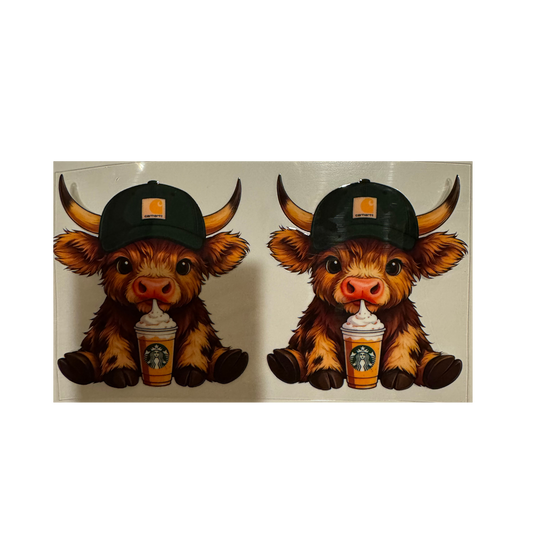 Starbies Cow