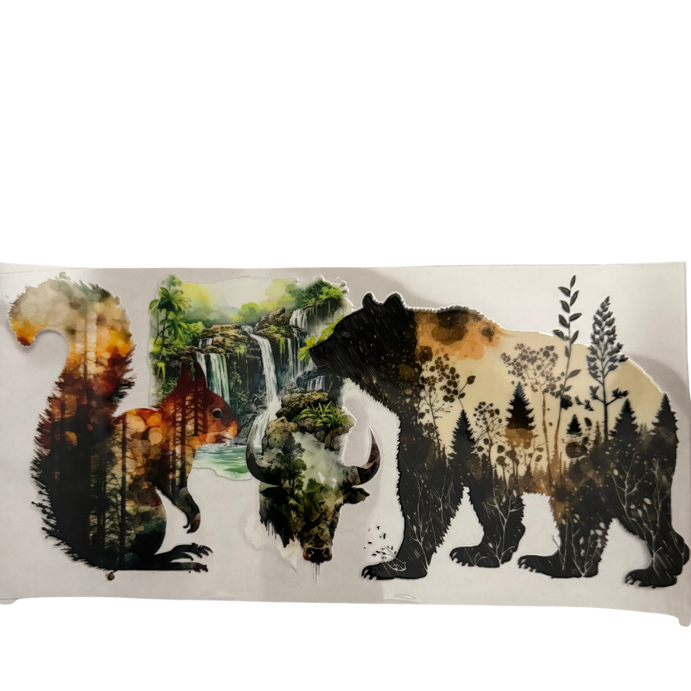 Bear & Squirrel