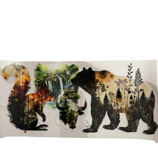 Bear & Squirrel