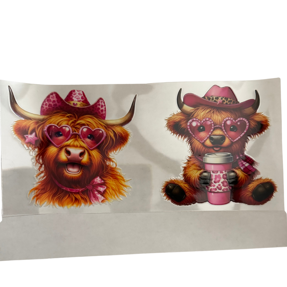 Western Cows