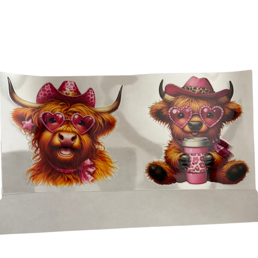 Western Cows