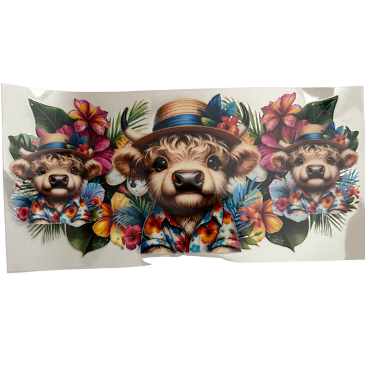 Hawaiian Cow