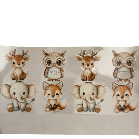 Baby Animals