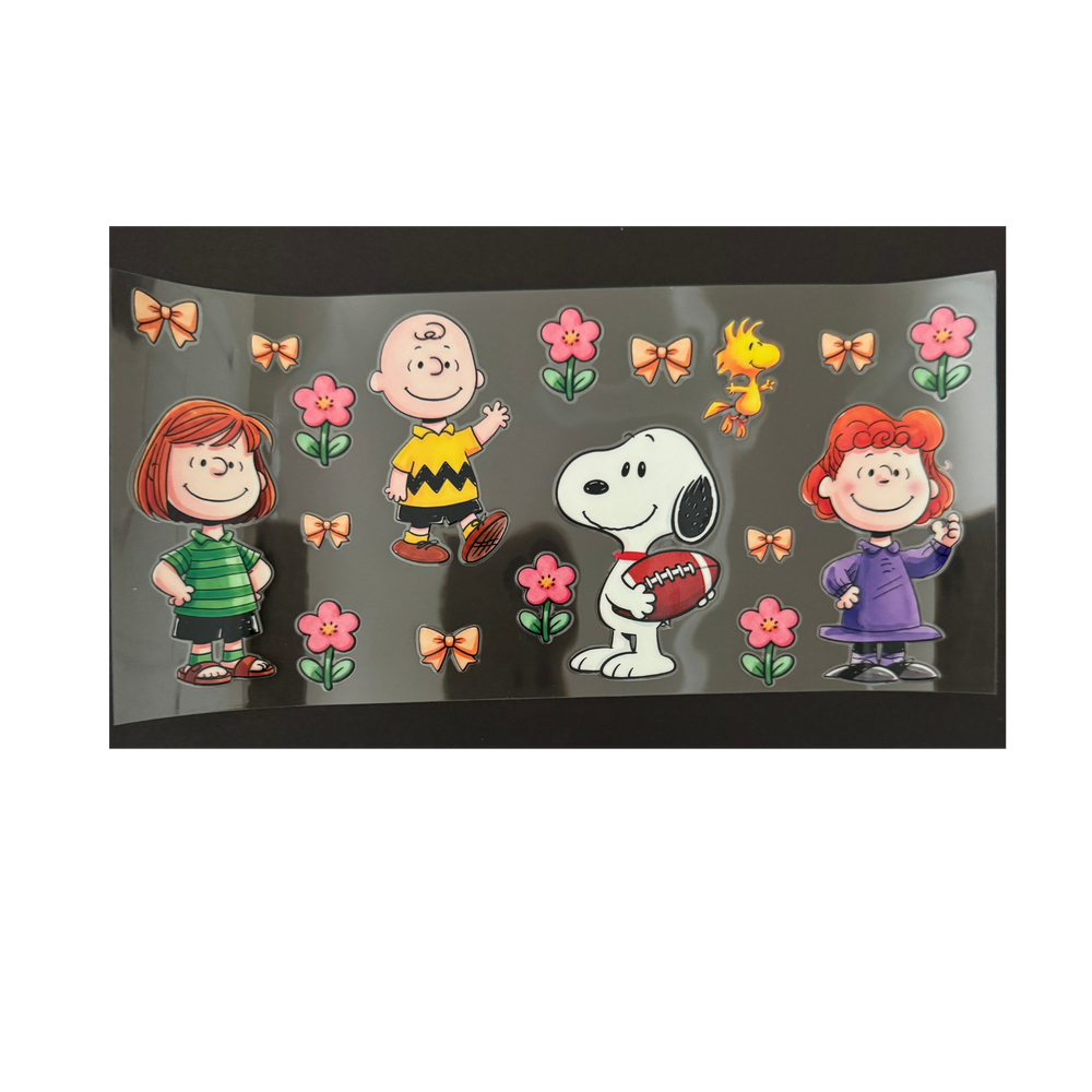 Football Snoopy & Friends