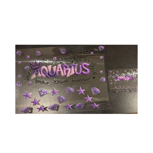 40oz Aquarius & Mini Set