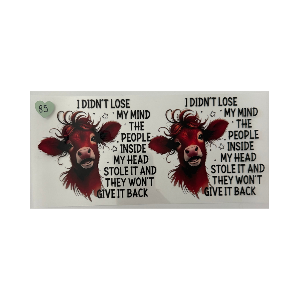 I Didn't Lose My Mind