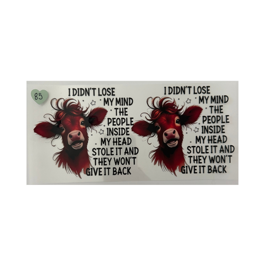 I Didn't Lose My Mind