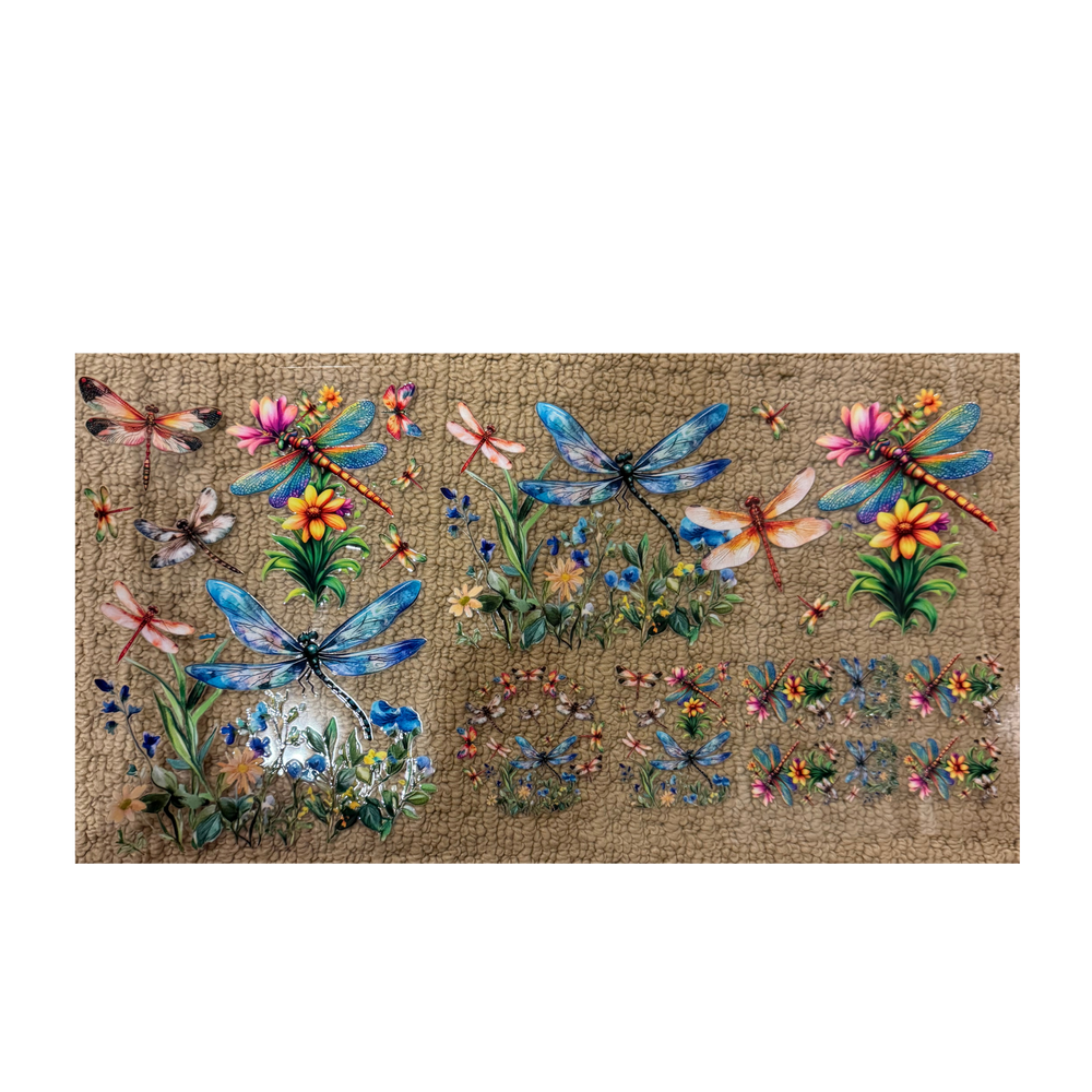 6 in 1 - Dragonflies
