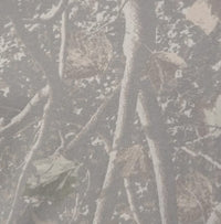 Deadwood Tree