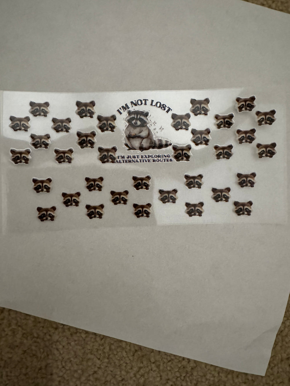 3oz - Raccoon Not Lost