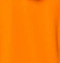 Safety Orange