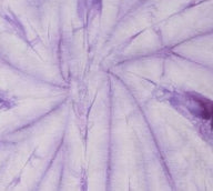 Spider Lavendar